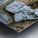 Leopard on high Metal print