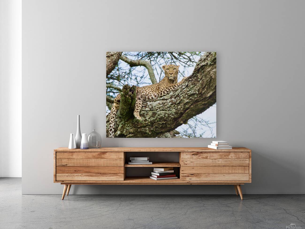 Leopard on high Reproduction