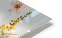 Pressed Blooms HD Metal print