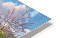  blooming meadow HD Metal print
