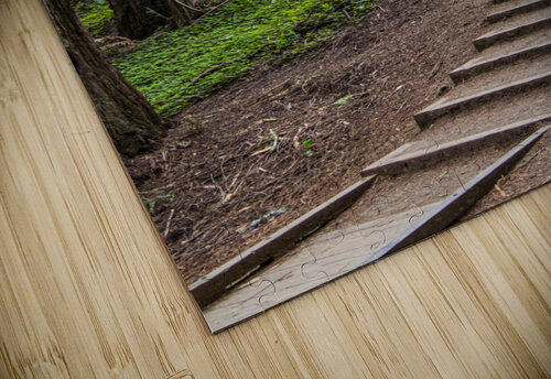 Forest Stairway JP Buck puzzle