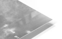 Old 1003 BW HD Metal print