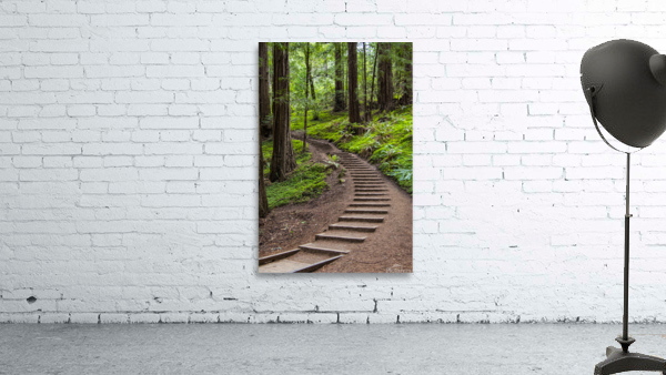 Forest Stairway Wall Preview