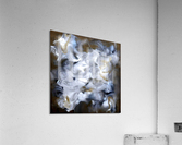 Flo Ral Acrylic Print