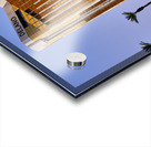 Delano   Las Vegas NV DSC03161 Acrylic print