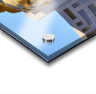 MGM Grand   Las Vegas NV DSC03025 Acrylic print