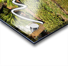 The Mirage Casino   Las Vegas NV DSC08447 Acrylic print