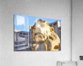 MGM Grand   Las Vegas NV DSC03025 Acrylic Print