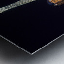 Paris Hotel  Casino at Night   Las Vegas NV SA104 Metal print