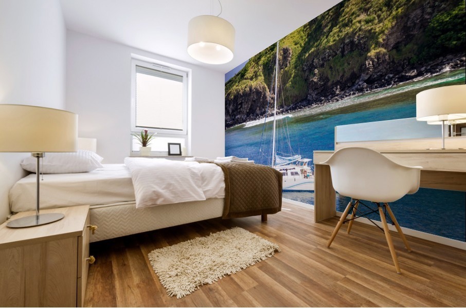 Honolua Bay   Maui Hawaii 1327 Mural print