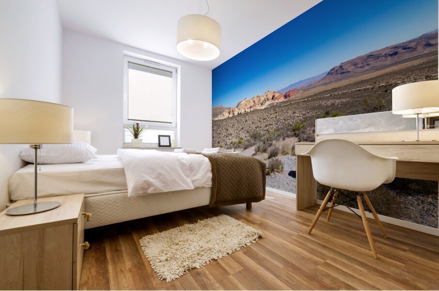 Red Rock Canyon   Nevada Canon 8742 Mural print