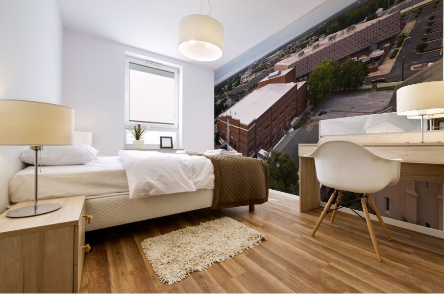 Bell Auditorium  James Broawn Arena Aerial View Mural print