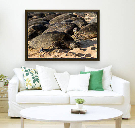 Green Sea Turtles on Hookipa Beach   Maui Hawaii 4306 by Sanjeev Singhal