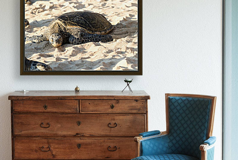 Green Sea Turtles on Hookipa Beach   Maui Hawaii 4289 by Sanjeev Singhal
