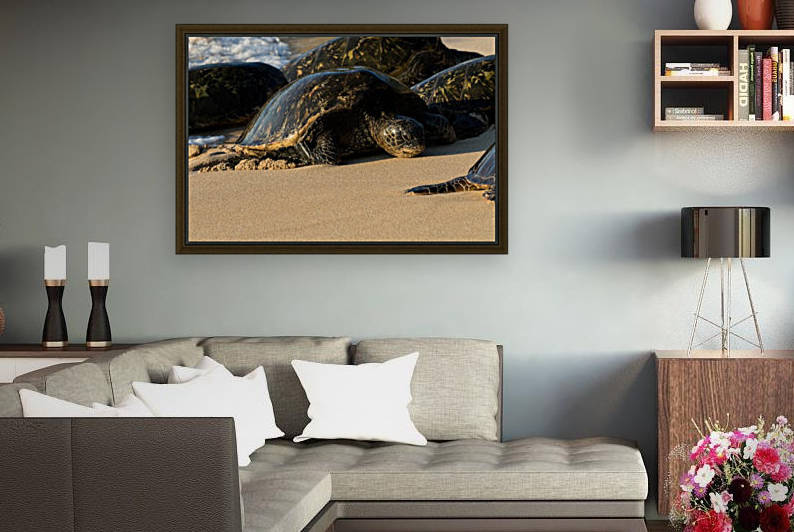 Green Sea Turtles on Hookipa Beach   Maui Hawaii 4374 by Sanjeev Singhal
