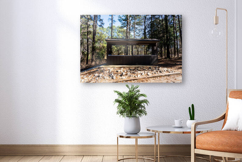 Mistletoe State Park   Appling GA 4775 by Sanjeev Singhal