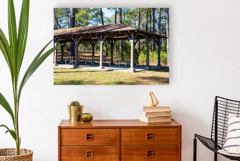 Mistletoe State Park   Appling GA 4754 by Sanjeev Singhal