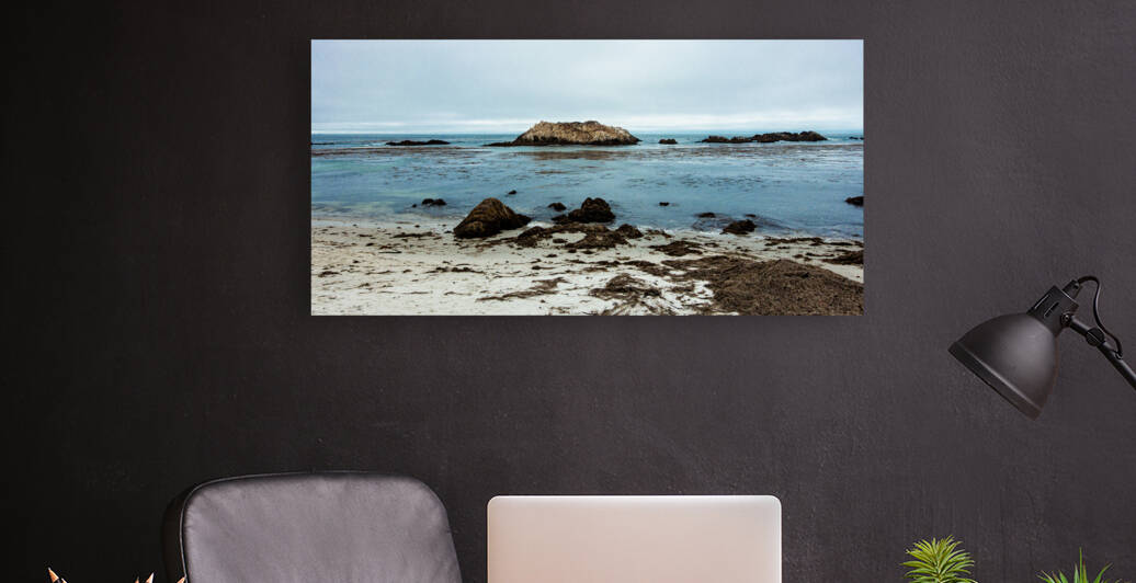 Monterey Peninsula 8761 by Sanjeev Singhal