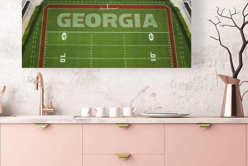 Sanford Stadium at University of Georgia Aerial V by Sanjeev Singhal