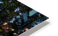 Riverside Park   Evans GA 6399 HD Metal print