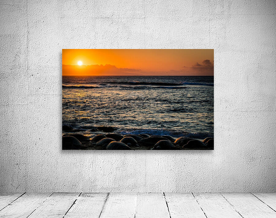 Green Sea Turtles on Hookipa Beach Sunset Maui Hawaii 08530 by