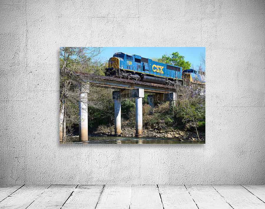 CSX Train at Aqueduct Park   Augusta GA SA108015. Wall Preview