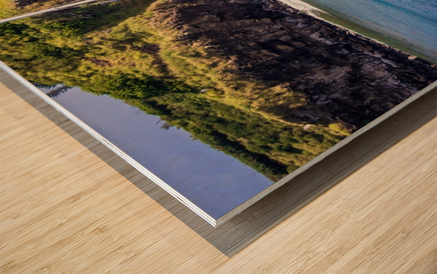 Honolua Bay   Maui Hawaii 1327 Wood print