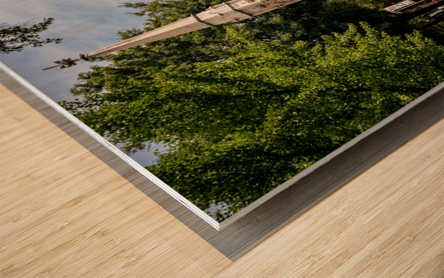 Confederate Monument Downtown Athens GA 9614 Wood print