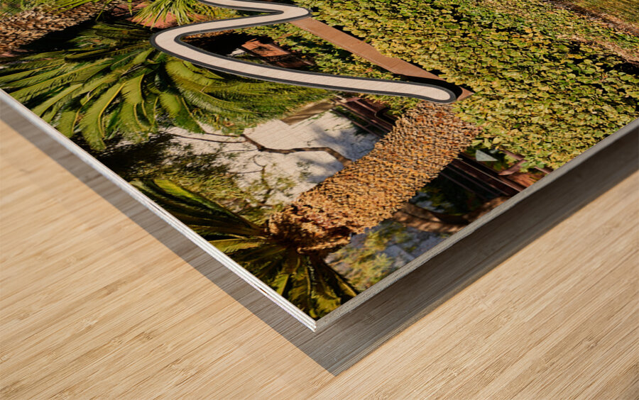 The Mirage Casino   Las Vegas NV DSC08447 Wood print