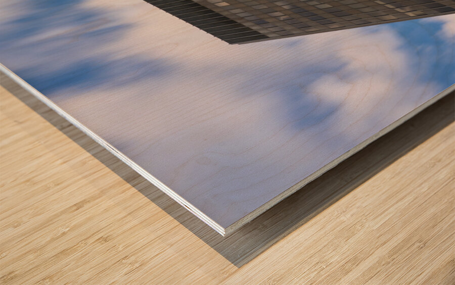 Augusta University Building   Augusta GA SA108852 Wood print