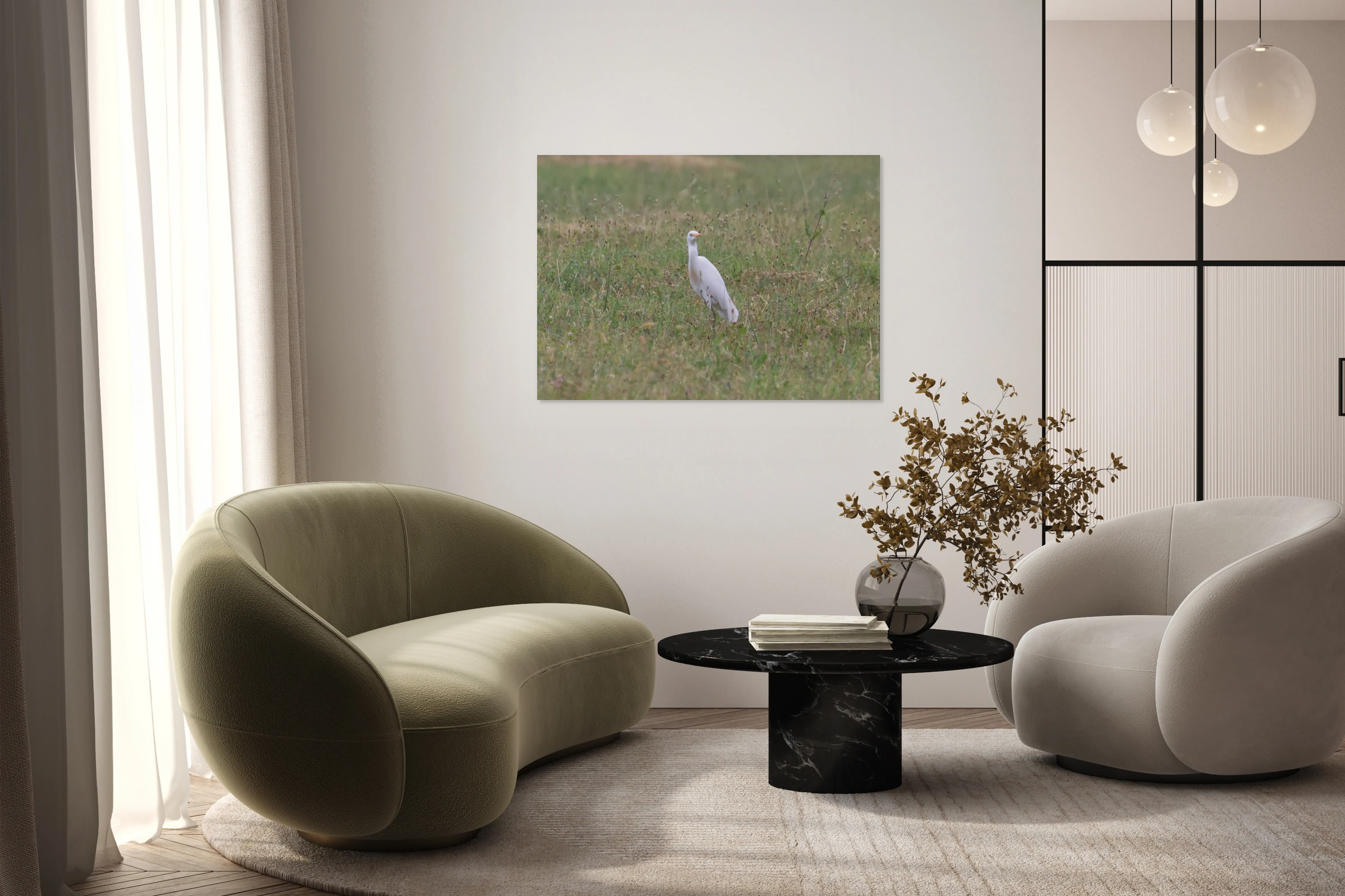 Cattle Egret