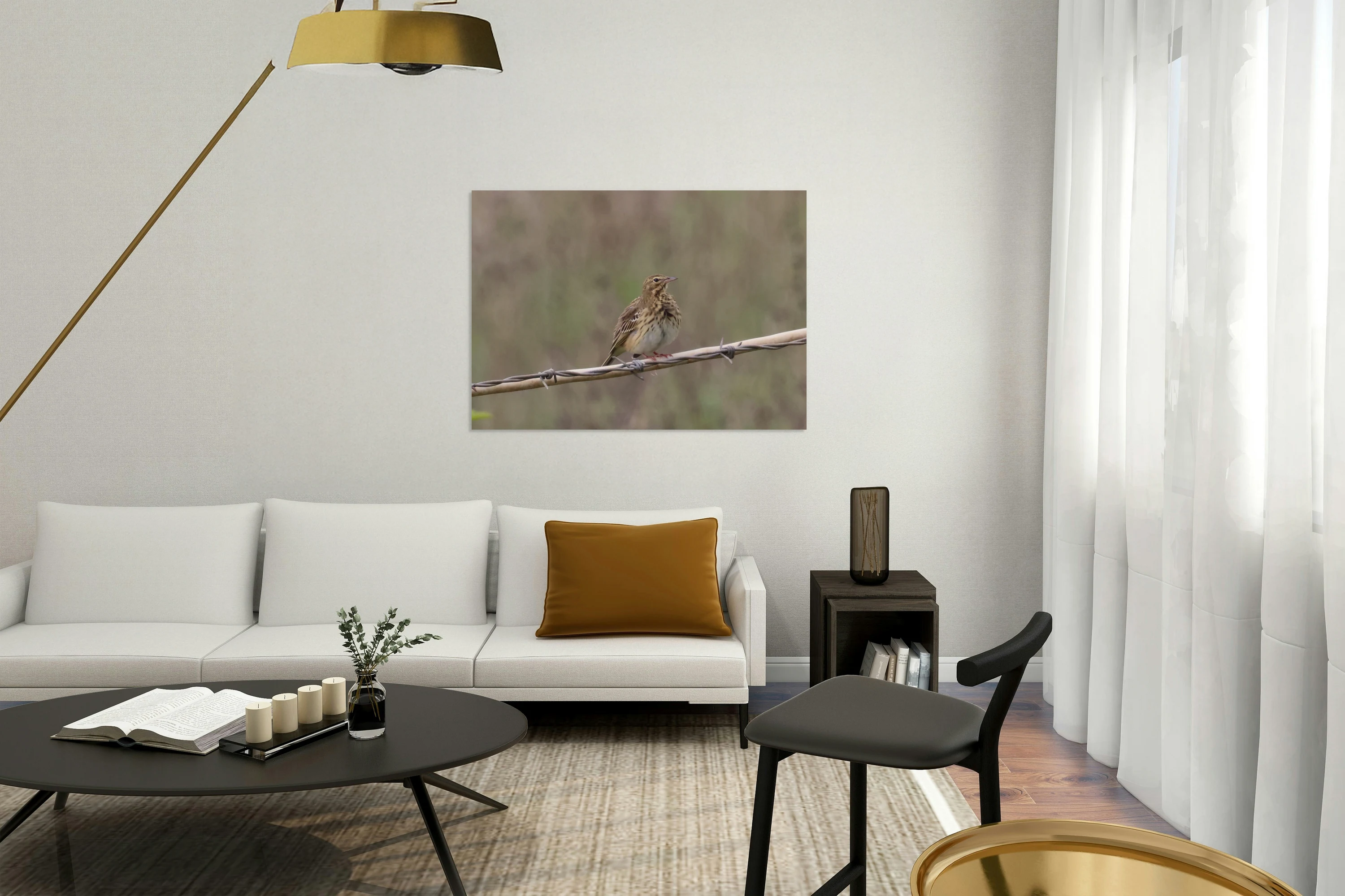 Meadow Pipit