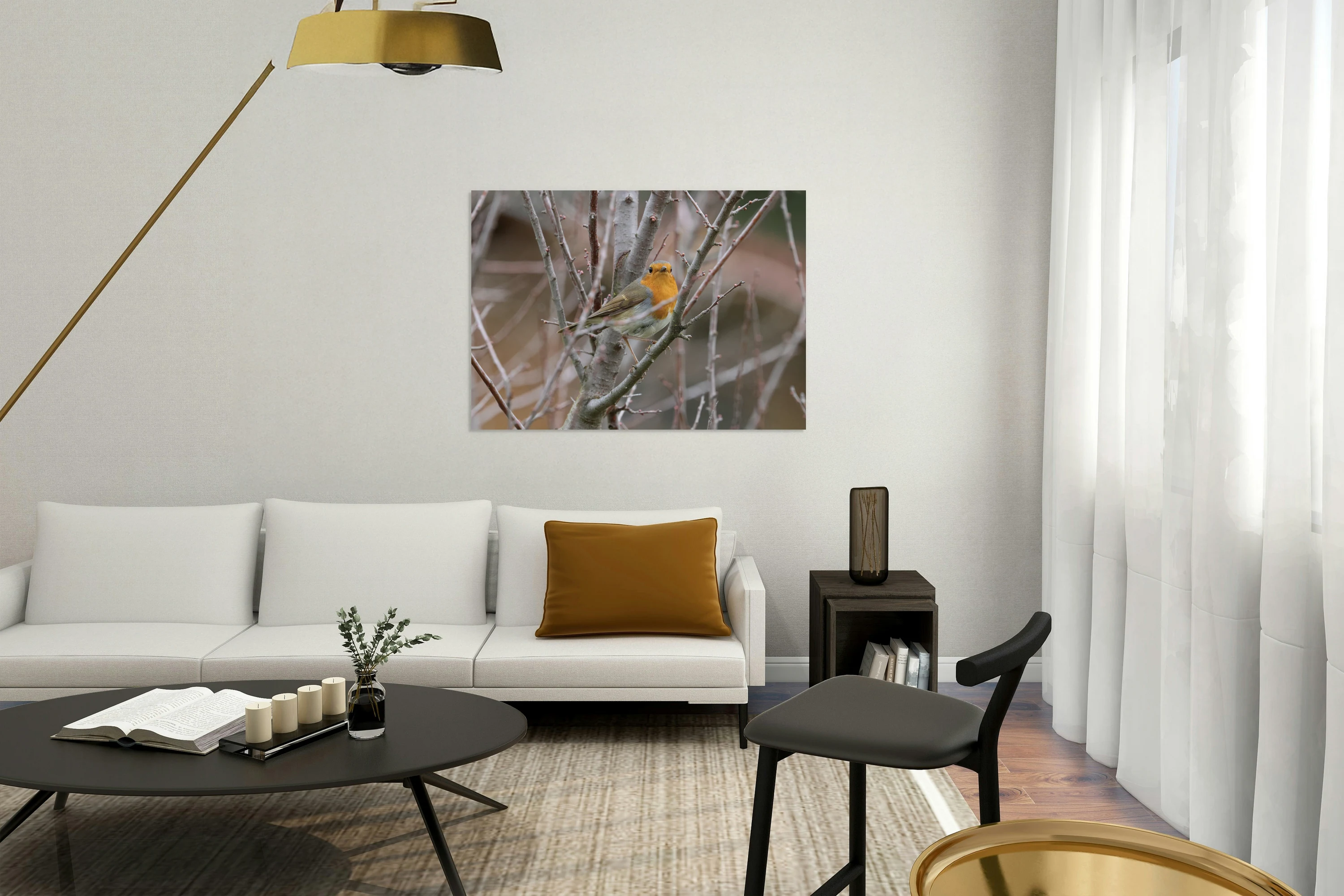 European Robin