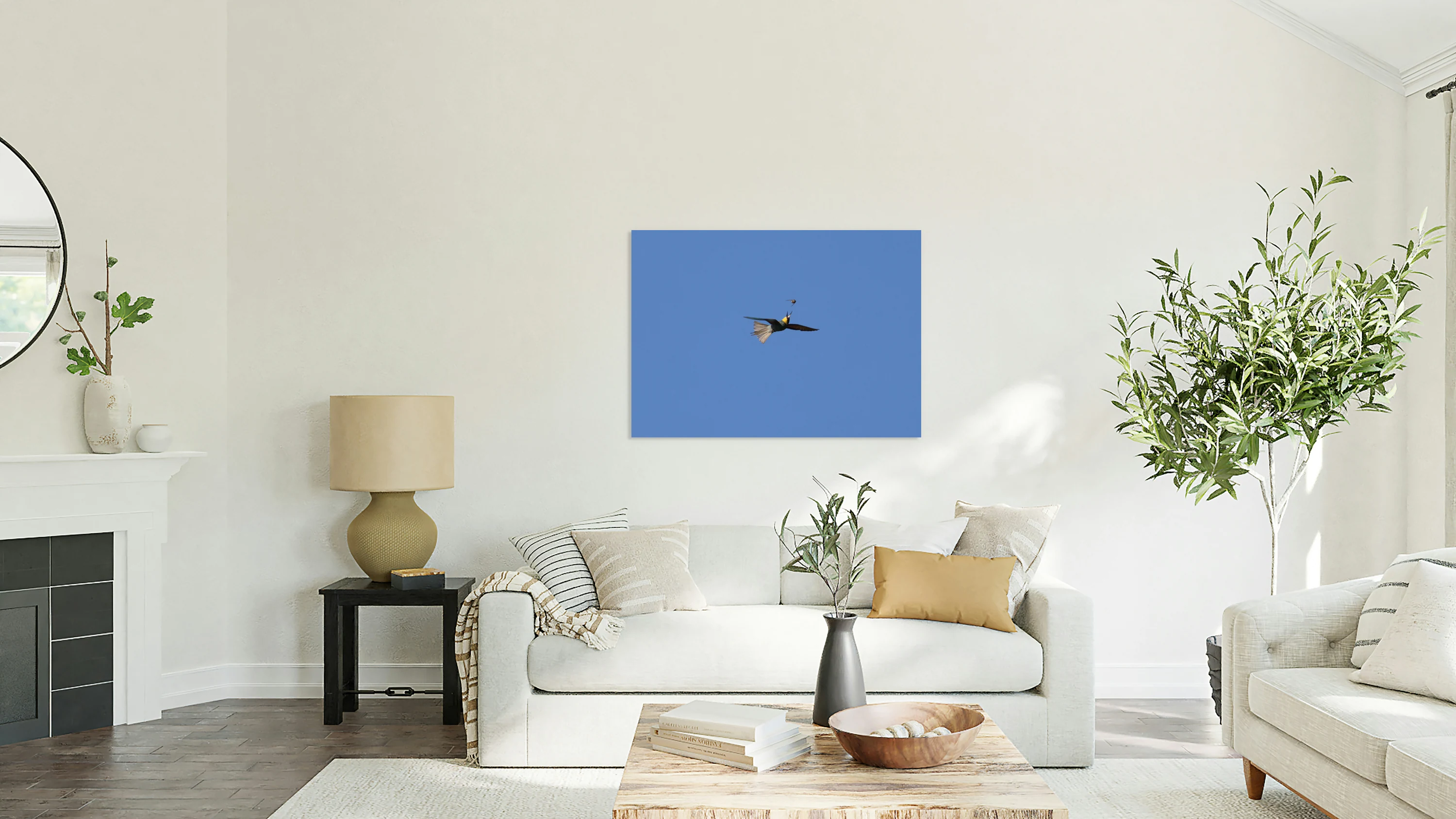 Bee Eater with Cicadas