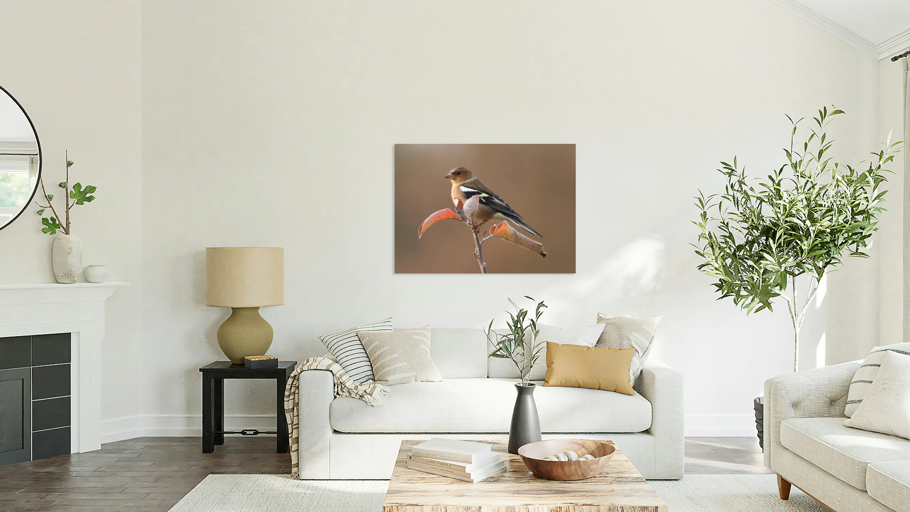 Chaffinch