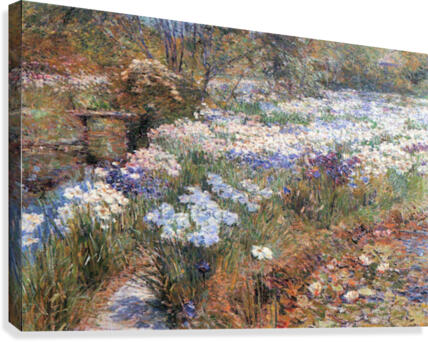 The water garden Canvas Print