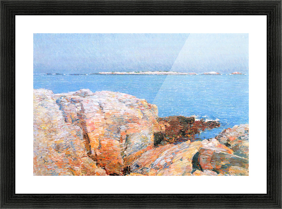 Duck island Picture Frame print