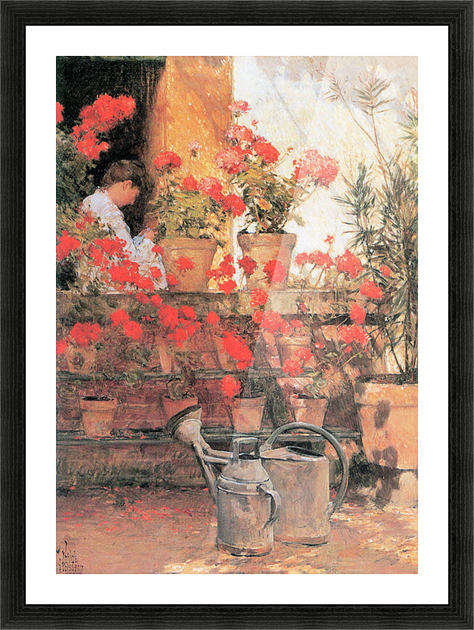 Red Geraniums Picture Frame print