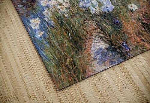 The water garden Hassam puzzle