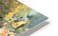 St. Cloud Mn. HD Metal print
