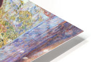 The Goldfish Window HD Metal print