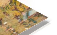 Diabolo HD Metal print