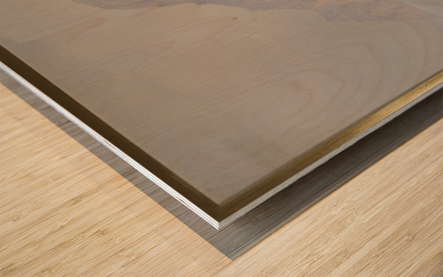 Monte d Oro lac de Garde Wood print