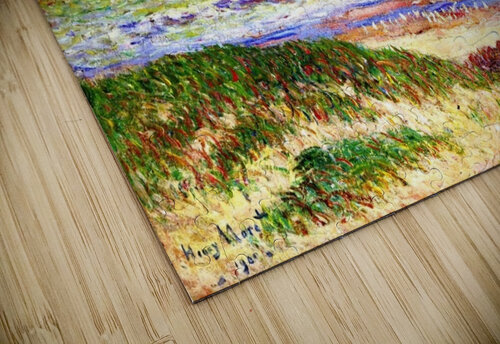 Nothern Sea Henry Moret puzzle
