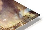 Mrs. Eleanor HD Metal print