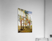 A street with dates trees Acrylic Print