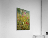 Wild flowers Acrylic Print