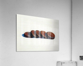 Five cookies Acrylic Print