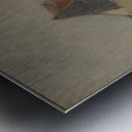 A farmhouse Metal print
