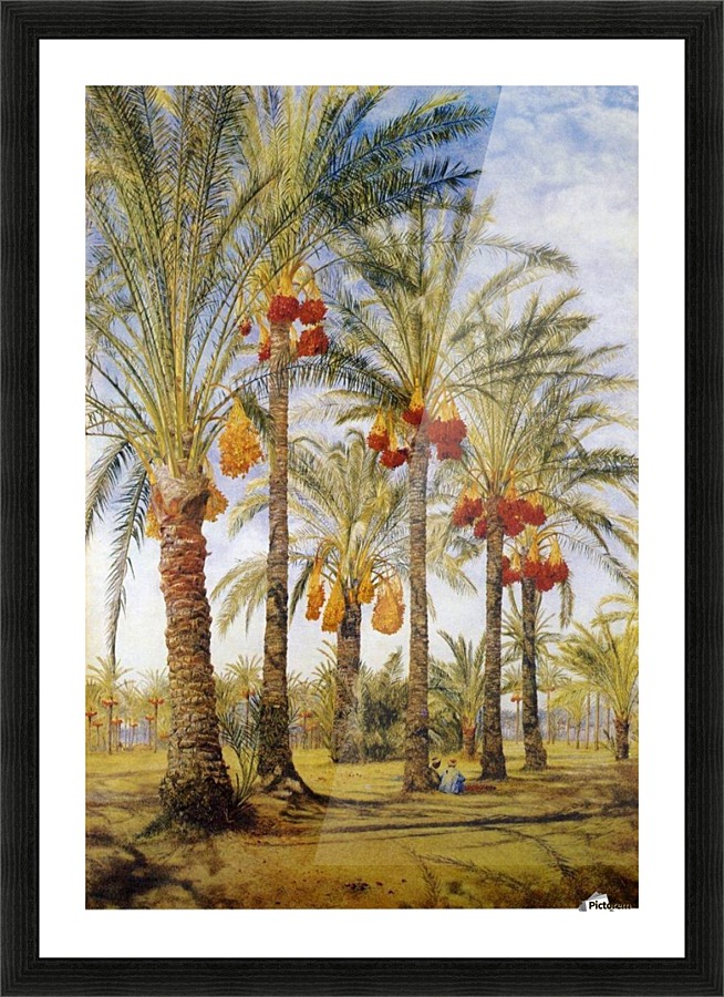 A street with dates trees Picture Frame print